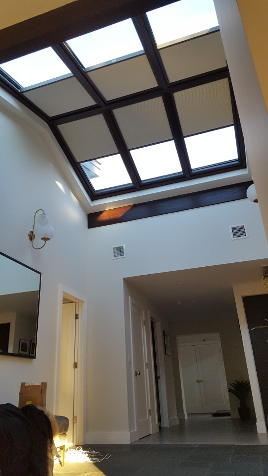 Cellular shades drawn across part of a skylight run, with the remaining panels left clear to the sky