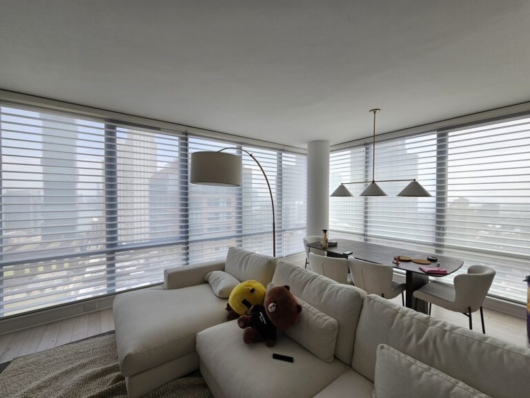 Sheer zebra shades in a living room in a Bergen County home