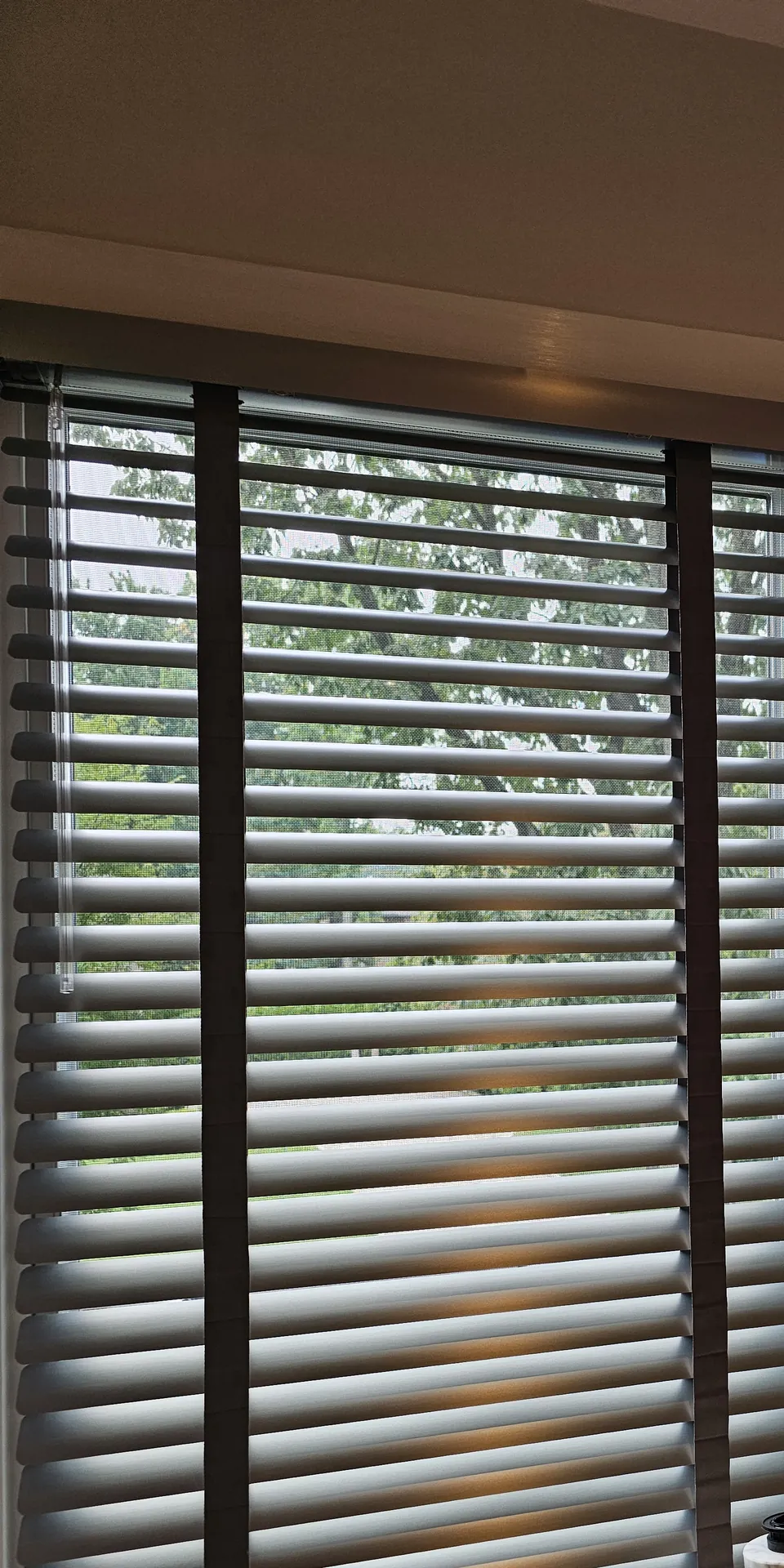 A gray aluminum blind with cloth tape lowered on a tall window, slats angled to let daylight through